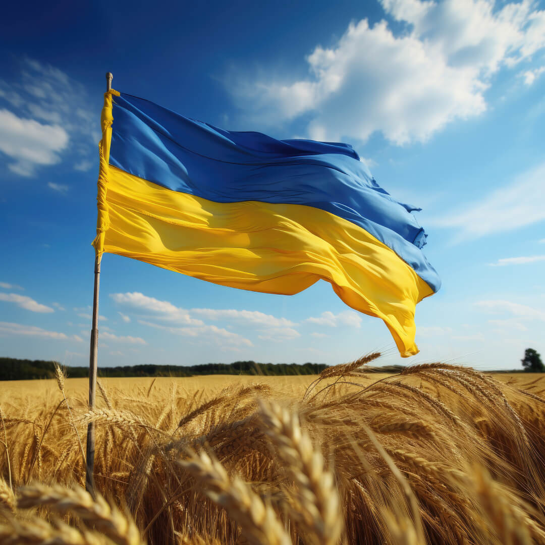 На честь Дня Незалежності України оголошуємо про нову акцію на ролетні системи!